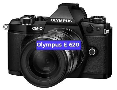 Ремонт фотоаппарата Olympus E-620 в Екатеринбурге